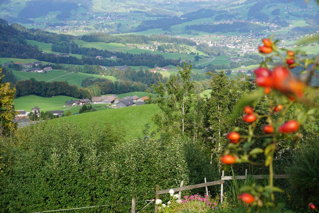 Ferienwohnungen Im Blockhaus Metzler Schwarzenberg im Bregenzerwald Exterior photo